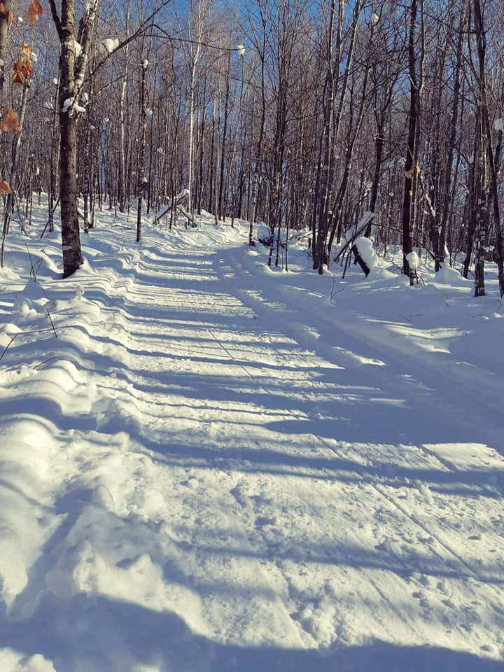 Chalet des loisirs Saint-Zénon | 80 Rue du Collège, Saint-Zénon, QC J0K 3N0, Canada | Phone: (450) 884-5987