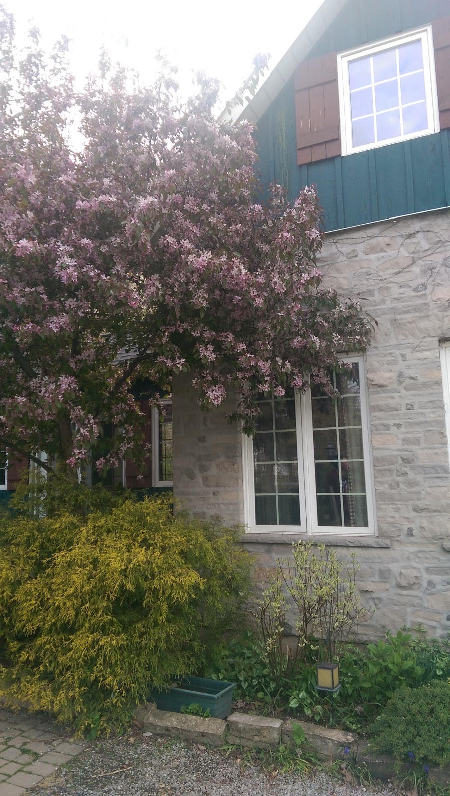 Applewood Hollow Bed & Breakfast | 2230 Four Mile Creek Rd, Niagara-on-the-Lake, ON L0S 1J0, Canada | Phone: (905) 468-0408