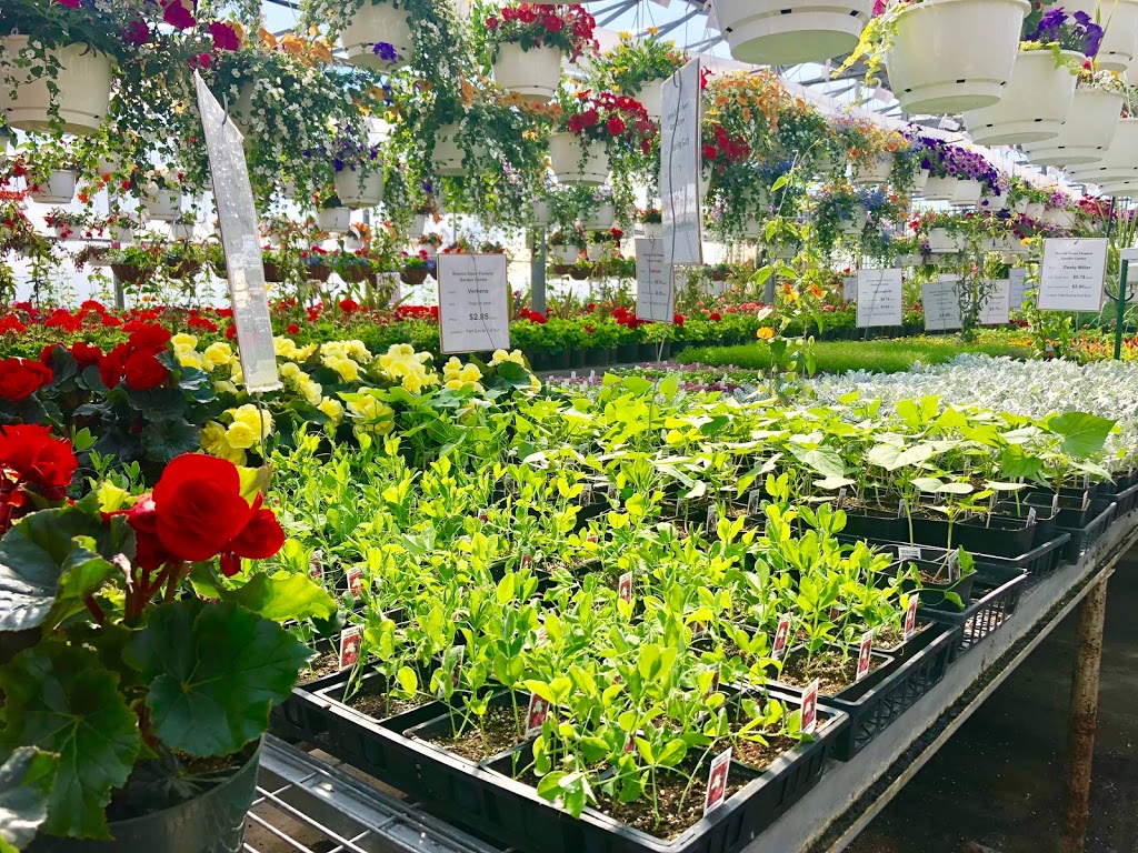 Bonnie Doon Flowers (Garden Centre) | 850 23 Ave NW, Edmonton, AB T6T 1J1, Canada | Phone: (780) 440-3053