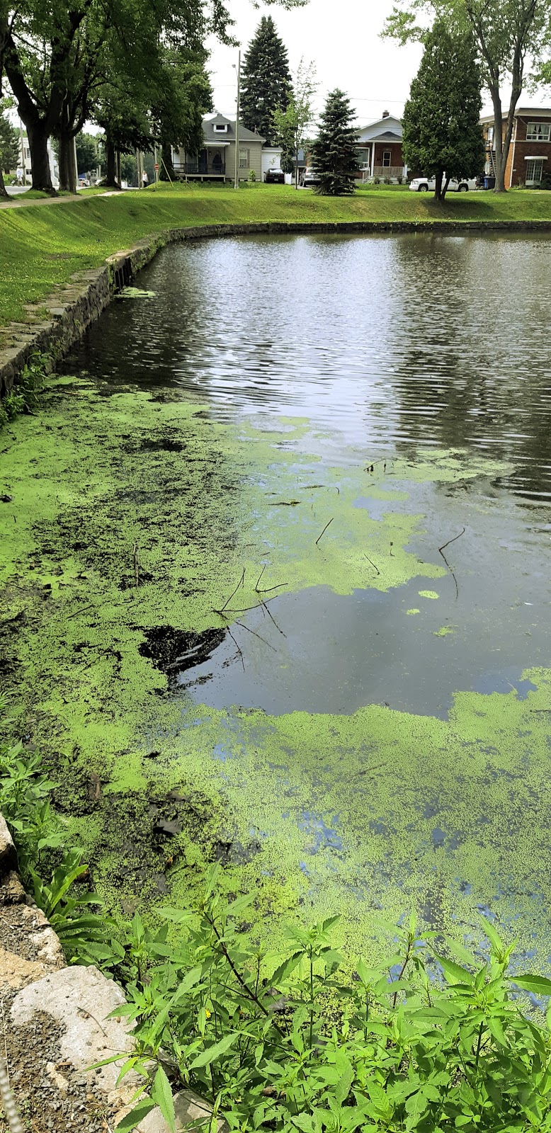 Parc du Moulin | Cap-de-la-Madeleine, Trois-Rivières, QC G8T 4Y4, Canada