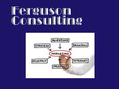 Ferguson Consulting | 18 Aspen Ave, St Thomas, ON N5R 5G4, Canada | Phone: (519) 902-7232