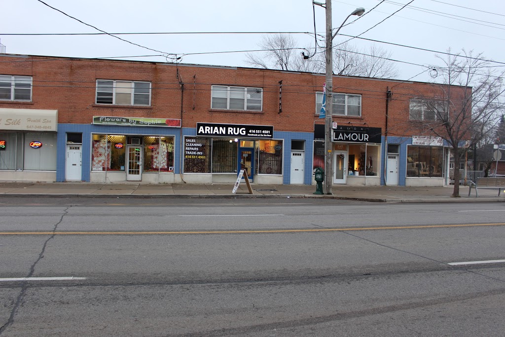 Arian Rugs inc | 647 The Queensway, Etobicoke, ON M8Y 1K6, Canada | Phone: (416) 551-4501