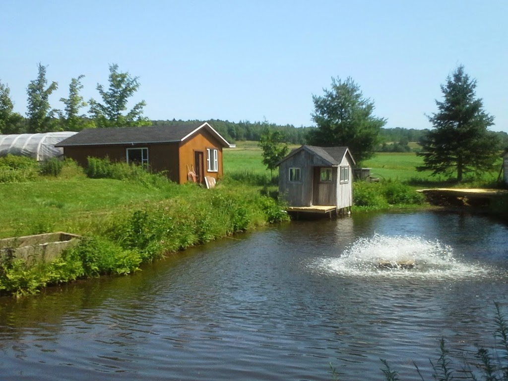 Pisciculture Aubé | 382 Chemin du Golf, Montmagny, QC G5V 3R9, Canada | Phone: (418) 248-5610