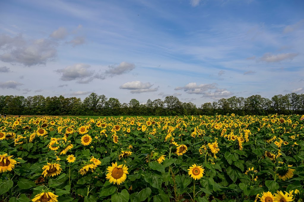 Applewood Farm | 12416 McCowan Rd, Whitchurch-Stouffville, ON L4A 4C5, Canada | Phone: (905) 640-5357