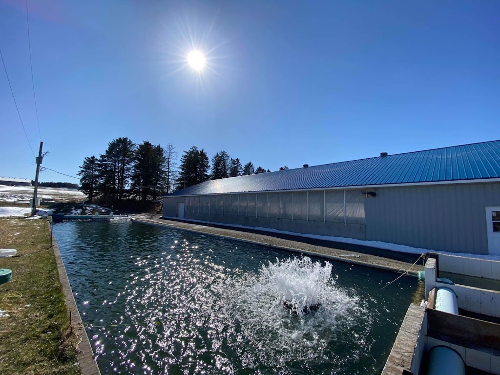 Pisciculture Gilbert | 3B QC-108, Lingwick, QC J0B 2Z0, Canada | Phone: (819) 877-2676