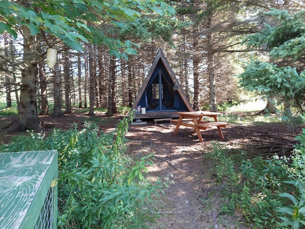 Pictou Island Wooden Tents | 40 Pictou Island Rd, Pictou Island, NS B0K 1J0, Canada | Phone: (902) 759-3240