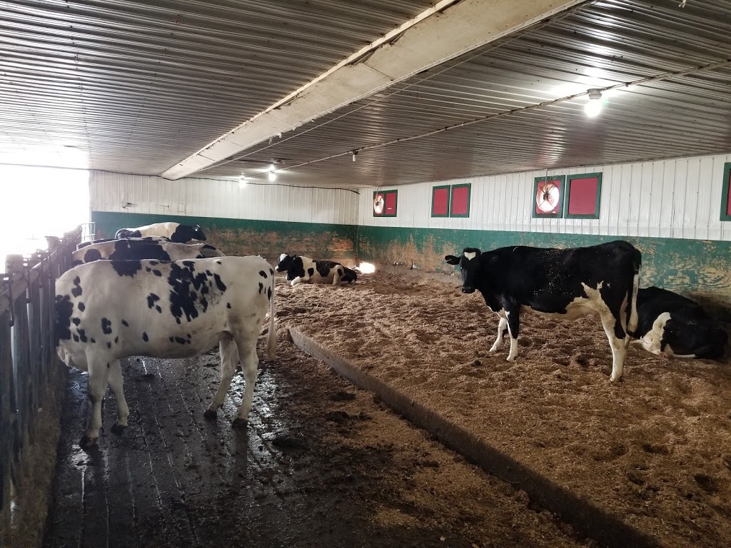 Birchwood Dairy Farm | 1154 Fadden Rd, Abbotsford, BC V3G 1T9, Canada | Phone: (604) 857-1315