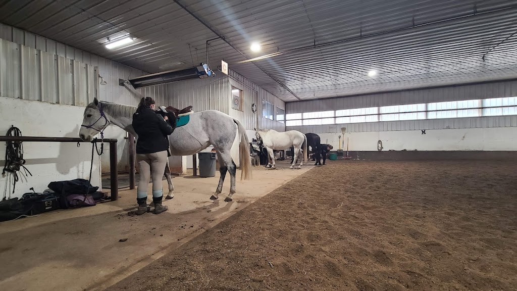 Country Hills Equestrian Centre | 283082 Township Rd 254, Alberta T1Z 0L9, Canada | Phone: (403) 990-6340