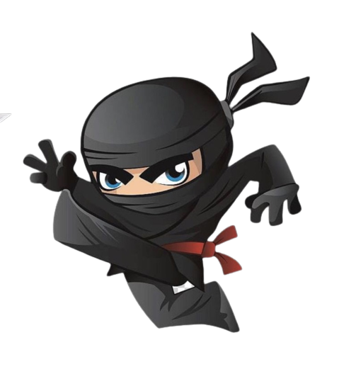 Dot Ninja SEO | 92 Ridgewood Crescent, Cambridge, ON N1S 4B3, Canada | Phone: (519) 208-8680