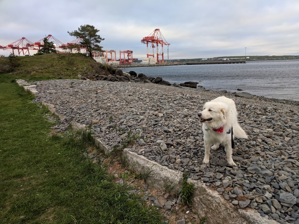 Black Rock Beach | South End, Halifax, NS B3H, Canada | Phone: (902) 490-4700