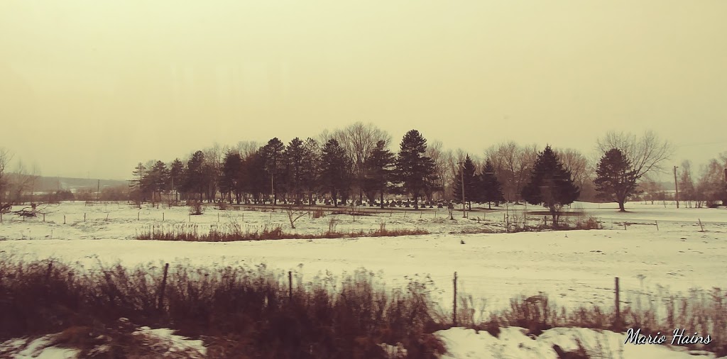 Sainte-Praxède Cemetery | 600 Chemin du Cimetière, Sherbrooke, QC J1C 0K1, Canada