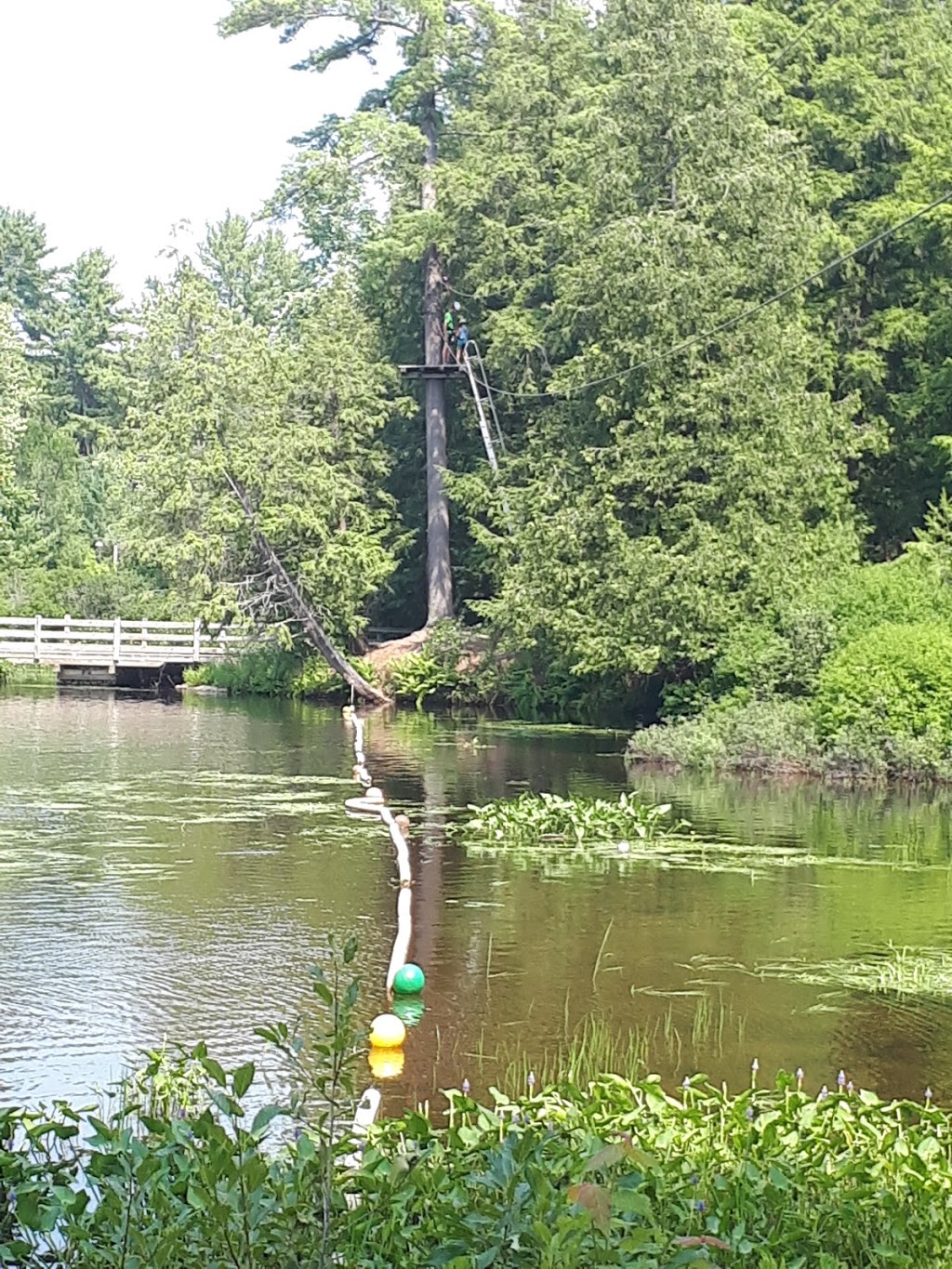 Muskoka Zip Lines & Aerial Park | 1624 Golden Beach Rd, Bracebridge, ON P1L 1W8, Canada | Phone: (705) 645-2512