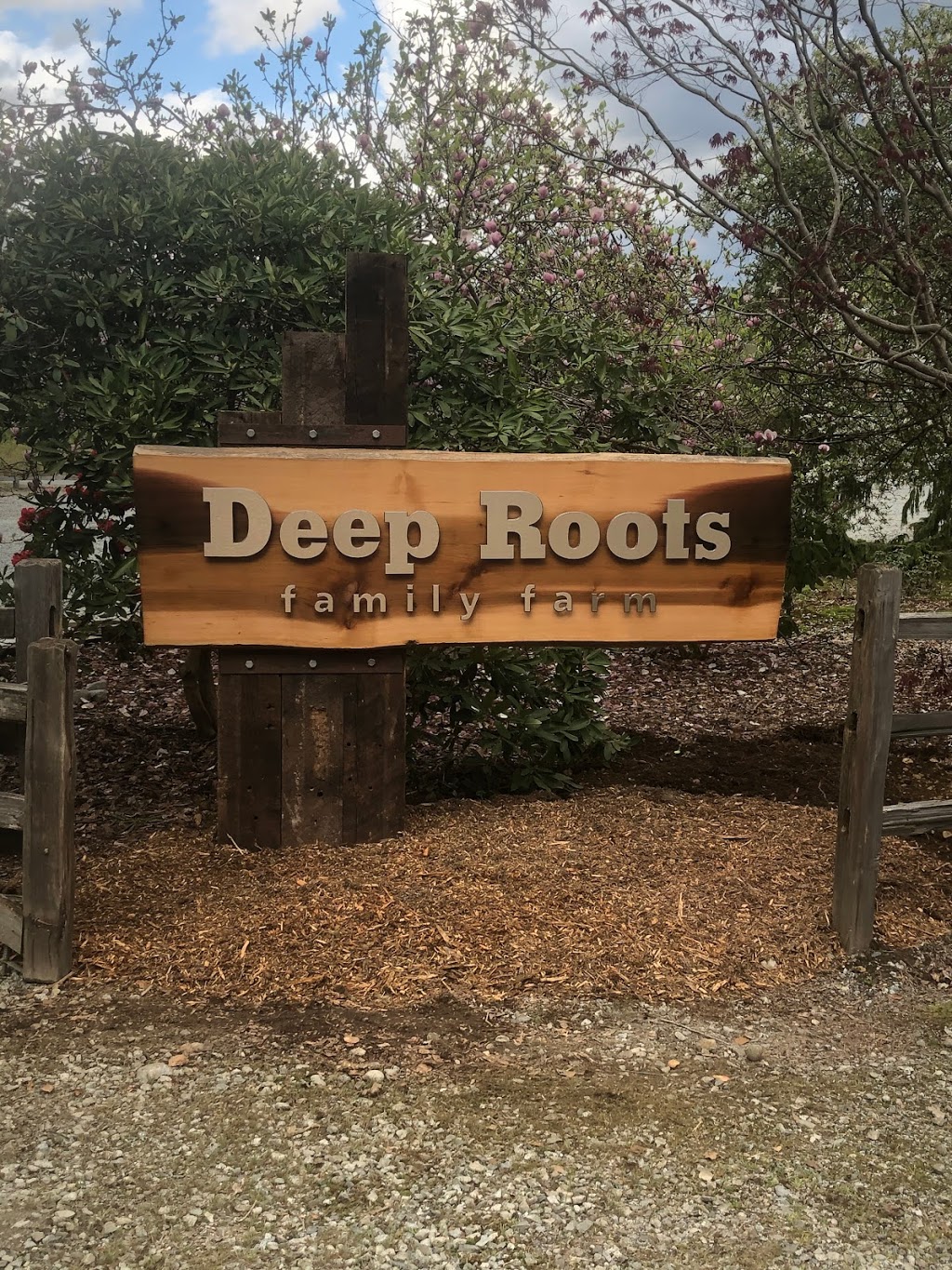 Deep Roots Family Farm | 22673 132 Ave, Maple Ridge, BC V4R 2R2, Canada | Phone: (778) 873-0938