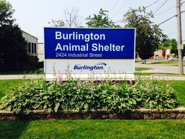 Burlington Animal Shelter | 2424 Industrial St, Burlington, ON L7P 1A5, Canada | Phone: (905) 335-3030