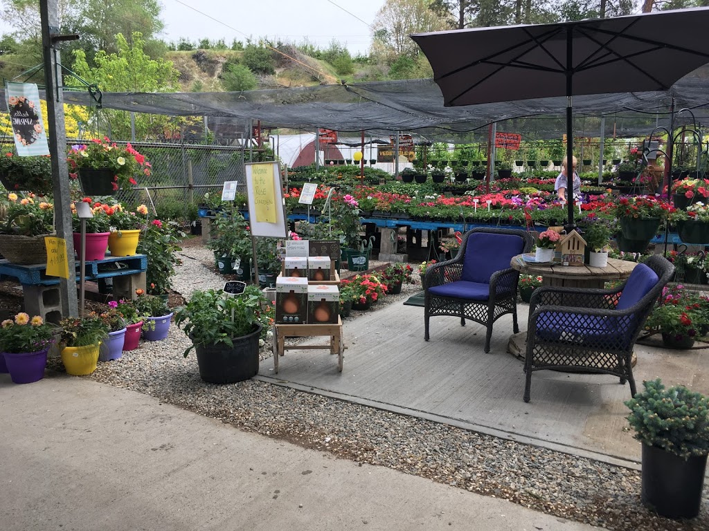 Riverside Greenhouse and Nursery | 211 Thorp Rd, Oliver, BC V0H 1T0, Canada | Phone: (250) 408-9500