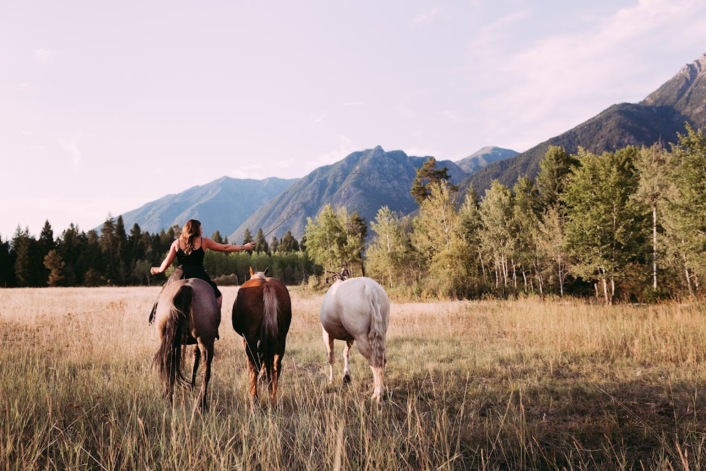 Freespirit Horsemanship | Hwy 3, BC-93, East Kootenay, BC V0B 1T0, Canada | Phone: (250) 417-6974