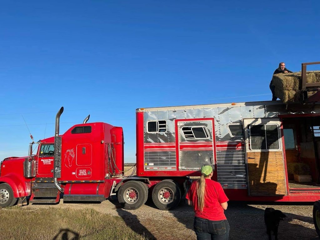 Northern Horse Transport | 37063 River Rd, Markerville, AB T4G 0M9, Canada | Phone: (587) 433-5850