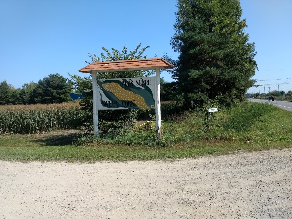 Ferme Mergl / Mergl Farm | 1431 Route de la Cité des Jeunes, Saint-Lazare, QC J7T 2B8, Canada | Phone: (450) 455-4144