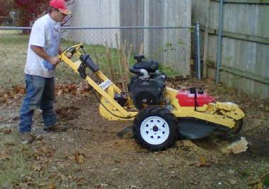 Toronto Stump Removal | 82 Fountainbridge Dr, Bolton, ON L7E 1V6, Canada | Phone: (647) 448-2395