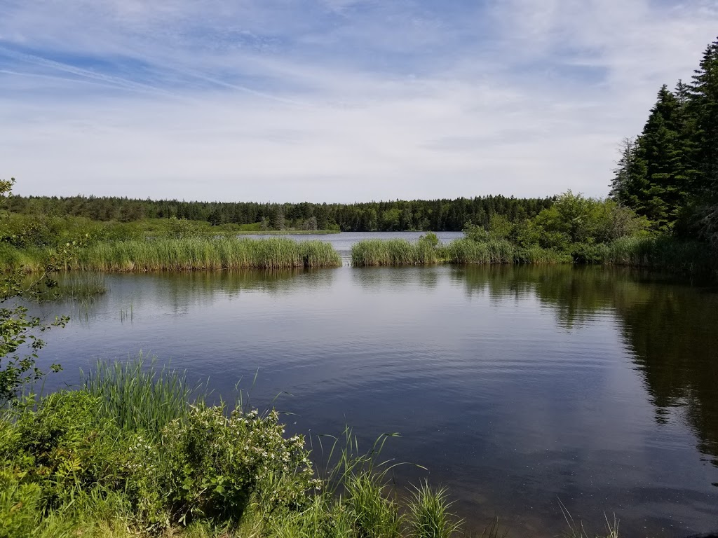 Amherst Point Migratory Bird Sanctuary | QPRX+MW, Nappan, NS B0L 1C0, Canada | Phone: (800) 668-6767