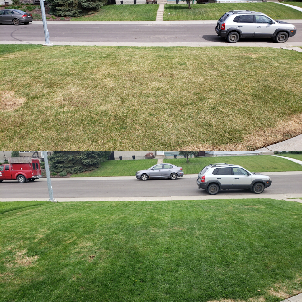 Precision Edge Lawn Service | 900 St Albert Trail, St. Albert, AB T8N 3X9, Canada | Phone: (780) 264-2239