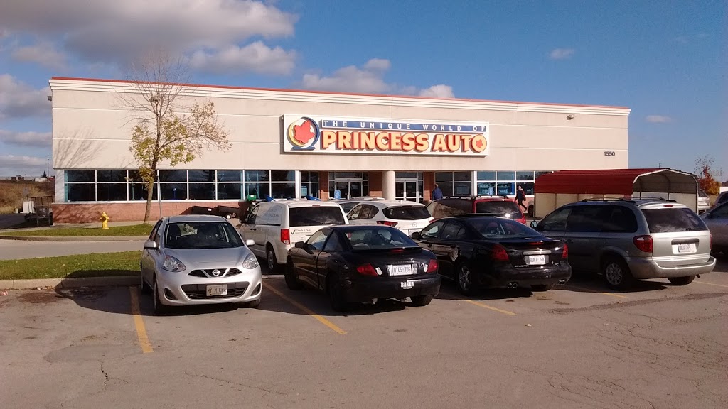 Princess Auto | 15 King Edward St, Coquitlam, BC V3K 4S8, Canada | Phone: (604) 777-0735