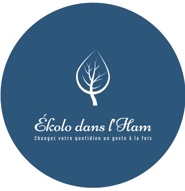 Ekolo dans l’Ham | 484 Rue du Curé Charles Lemire, Ham-Nord, QC G0P 1A0, Canada | Phone: (450) 204-7036