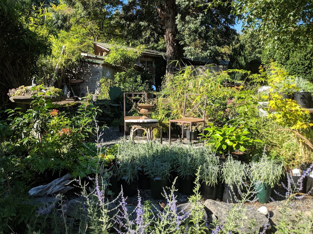 Garden Faire Gallery Nursery & Campground | 305 Rainbow Rd, Salt Spring Island, BC V8K 2M3, Canada | Phone: (250) 537-4346