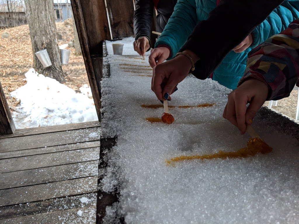 Cabane à Sucre Sincennes | 63 Chemin dEardley, Sainte-Cécile-de-Masham, QC J0X 2W0, Canada | Phone: (819) 456-2327