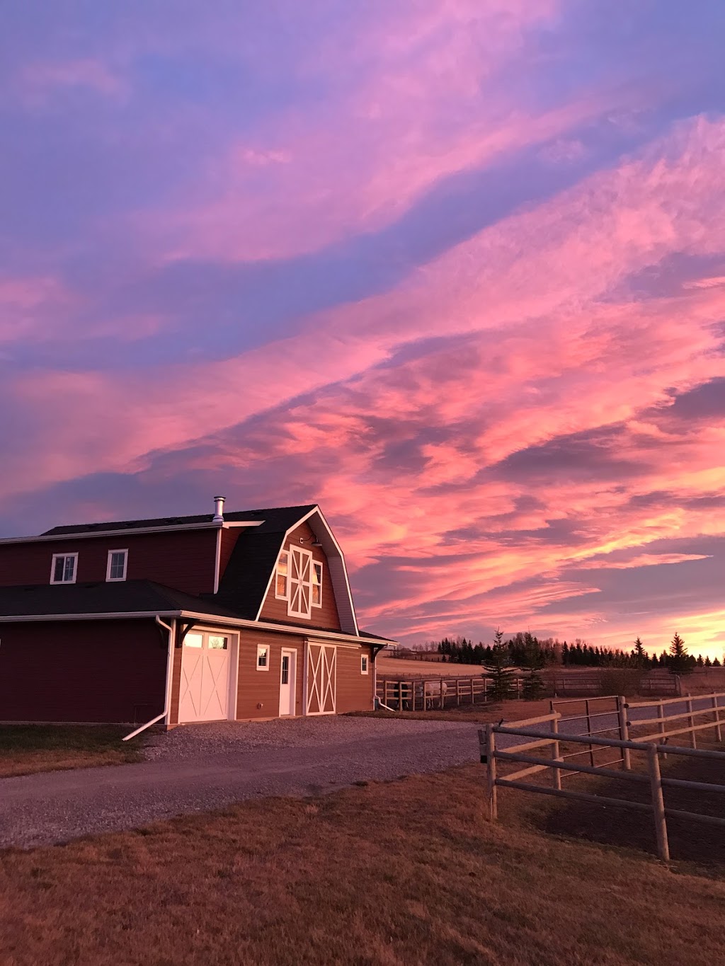 Loft Coffee Co. | 258060 48 St E W, De Winton, AB T1S 1A2, Canada | Phone: (403) 970-4219