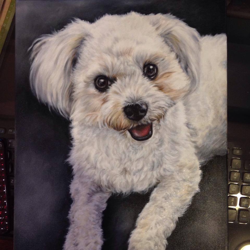 Perfect Pet Portraits | 180 Coronation St, Woodbridge, ON L4L 6M2, Canada | Phone: (416) 882-5598