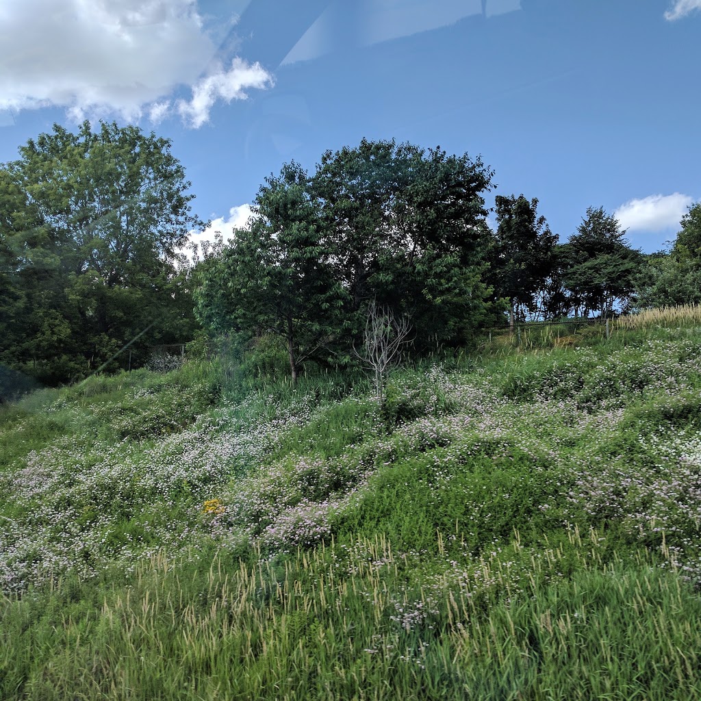 Forest Heights Trail | Forest Heights, Kitchener, ON N2N, Canada