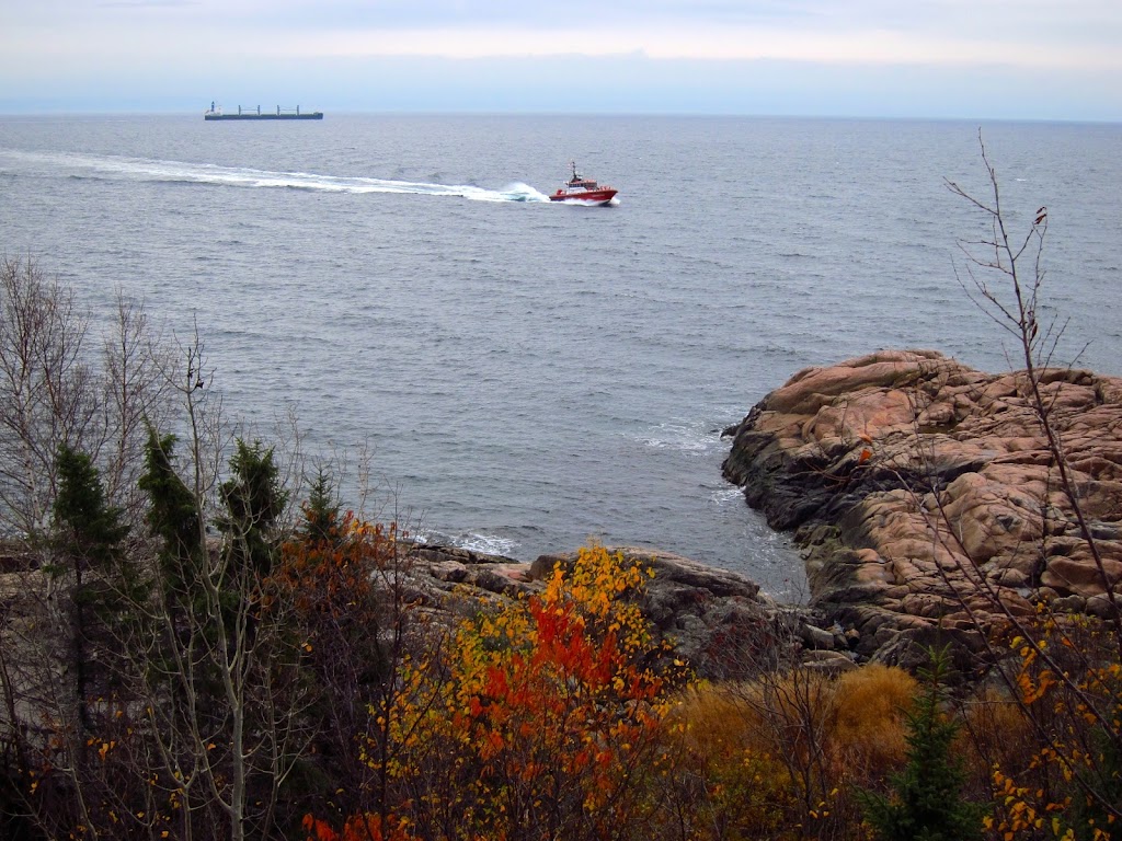 Marine Environment Discovery Centre | 41 Rue des Pilotes, Les Escoumins, QC G0T 1K0, Canada | Phone: (418) 233-4414