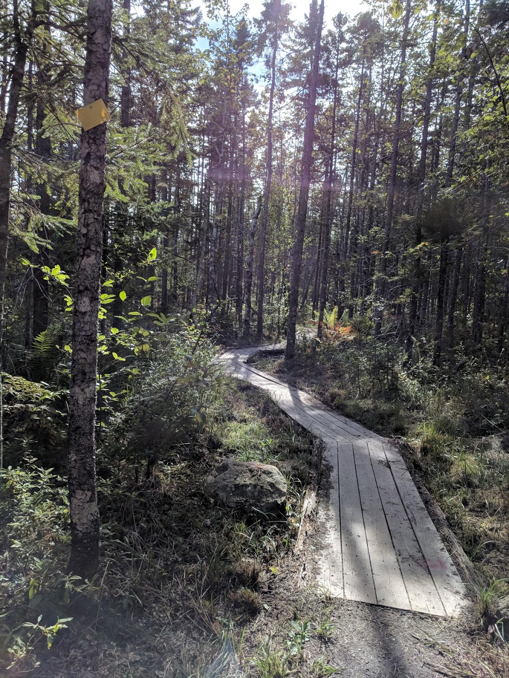9 Mile River Trails | 1143 Enfield Rd, Nine Mile River, NS B2S 2T7, Canada