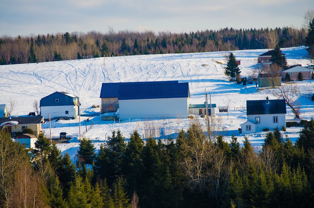 Ferme Manche de Pelle | 936 Rue de lÉglise E, Saint-Nérée, QC G0R 3V0, Canada | Phone: (418) 243-2966