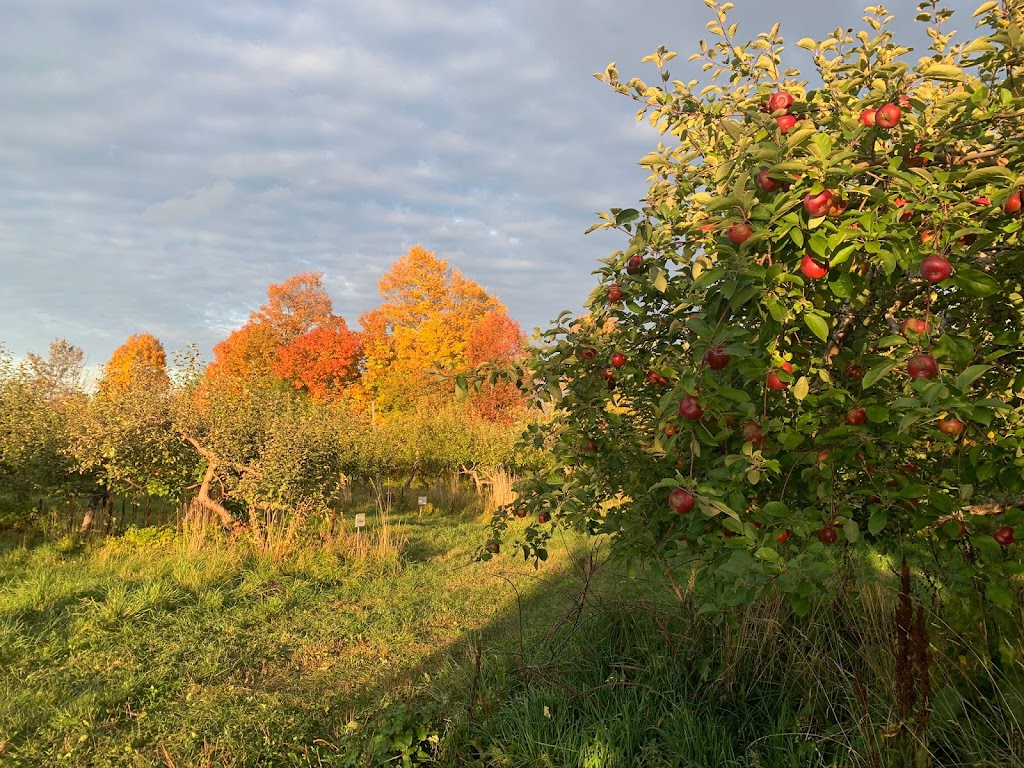 Verger Heath Orchard | 4950 Chem. Heath, Stanstead, QC J0B 3E0, Canada | Phone: (819) 876-2817