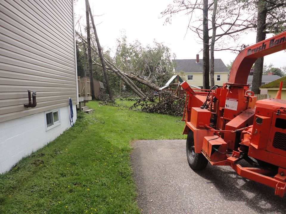 Tree Care | 1 Leeswood Dr, Quispamsis, NB E2G 1N1, Canada | Phone: (506) 849-1499