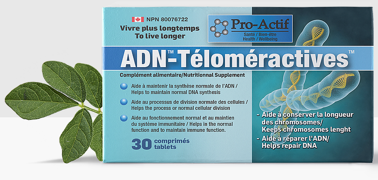 Adn-Téloméractives | 871 Chemin des Pionniers E, Cap-Saint-Ignace, QC G0R 1H0, Canada | Phone: (418) 246-1999