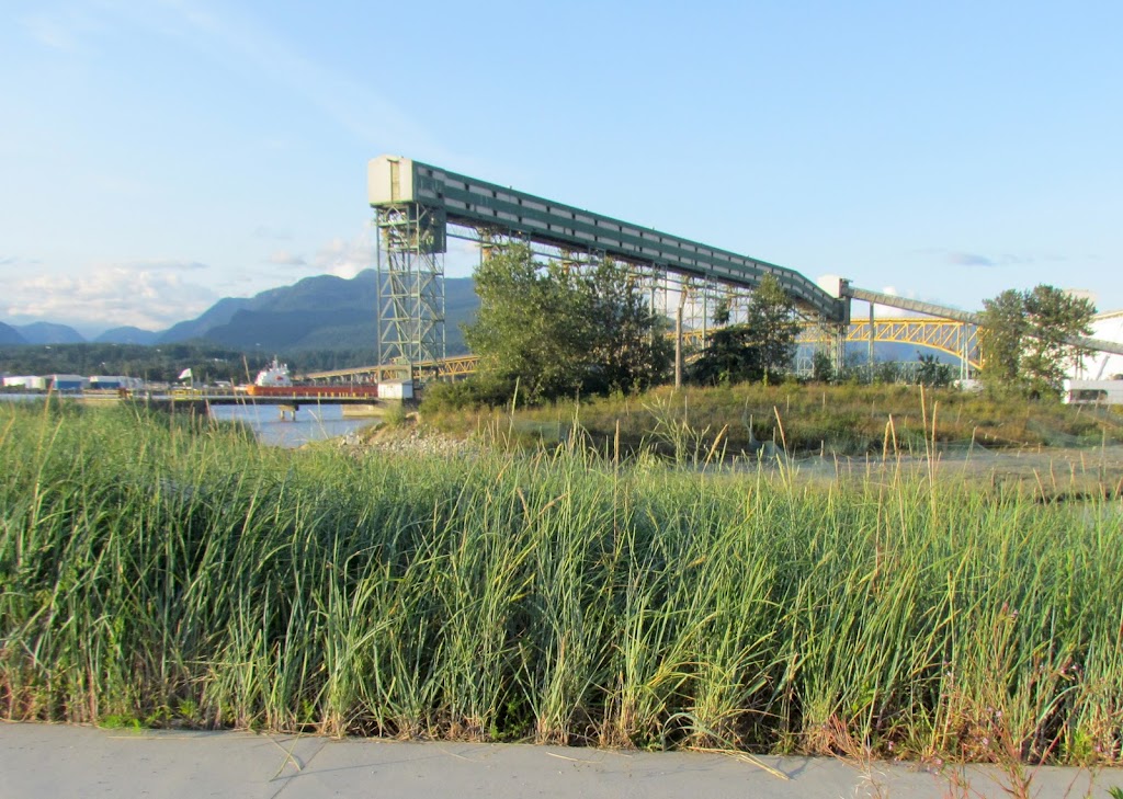 New Brighton Salt Marsh | 3201 New Brighton Rd, Vancouver, BC V5K 0A1, Canada | Phone: (604) 873-7000