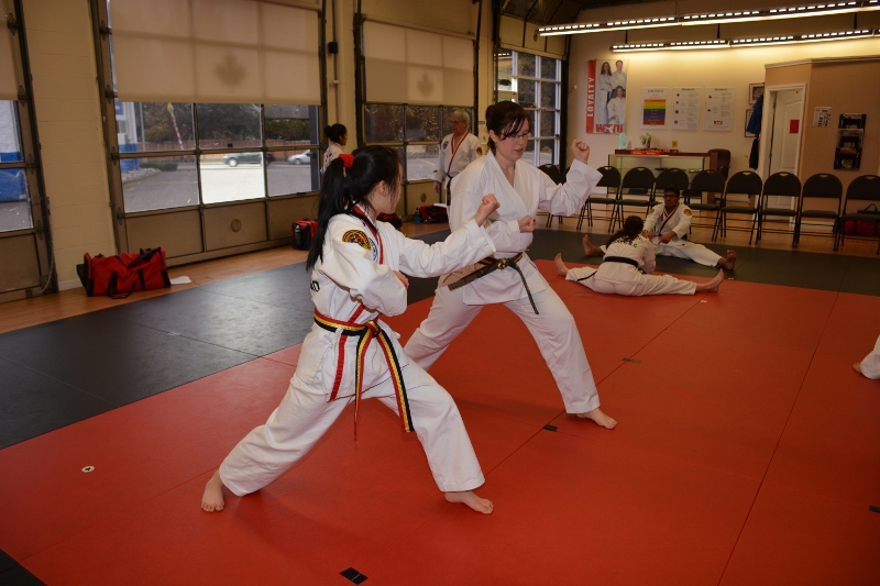 Alpha Martial Arts Inc. | 8880 202 St. #7, Langley, BC V1M 4E7, Canada | Phone: (604) 888-6645