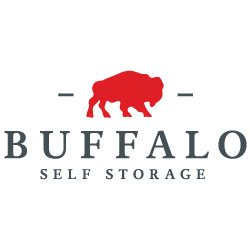 Buffalo Self Storage | 363 Dingens St, Buffalo, NY 14206, USA | Phone: (716) 825-7070