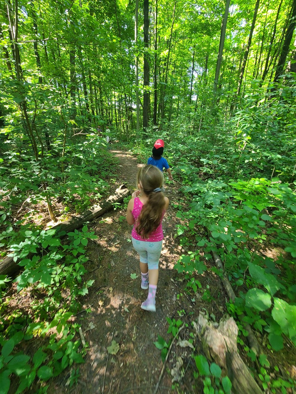 St Veronica Childrens Centre an Upper Canada Child Care Centre | 171 Maria Antonia Rd, Woodbridge, ON L4H 2S8, Canada | Phone: (905) 653-4859