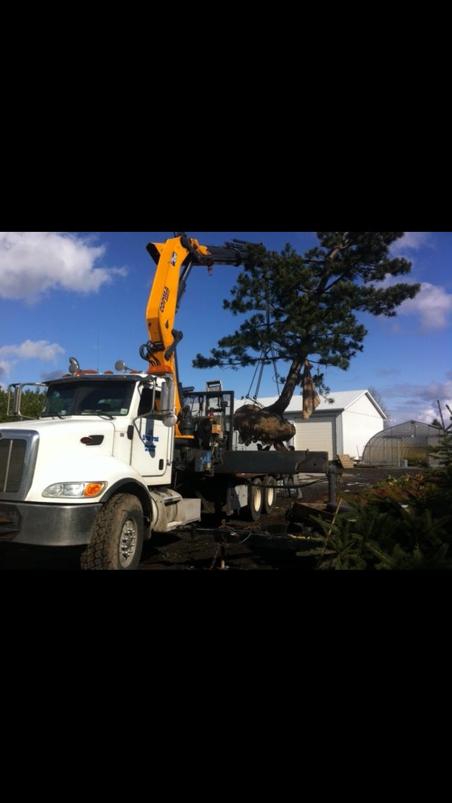 J K Truck & Crane Ltd | 30622 Crestview Ct, Abbotsford, BC V2T 6T5, Canada | Phone: (604) 309-7000