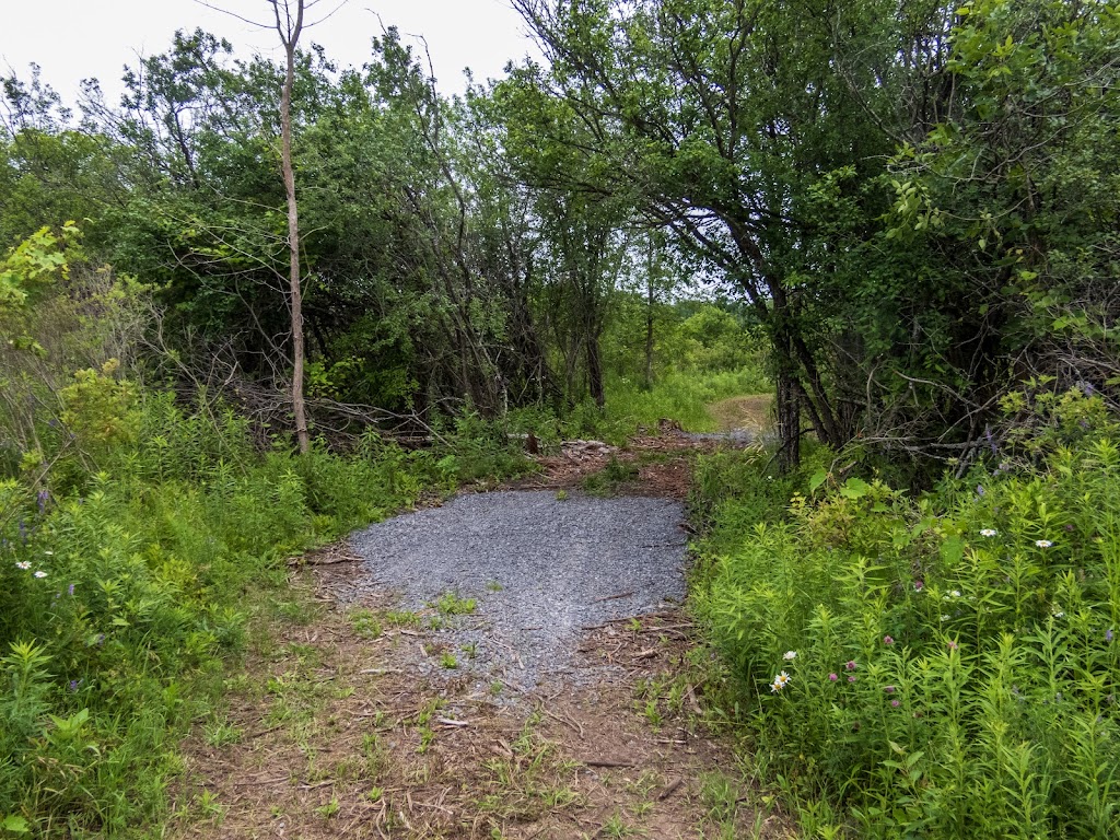 North Potters Creek Conservation Area | 935 Moira St W, Belleville, ON K0K 1K0, Canada | Phone: (613) 968-3434