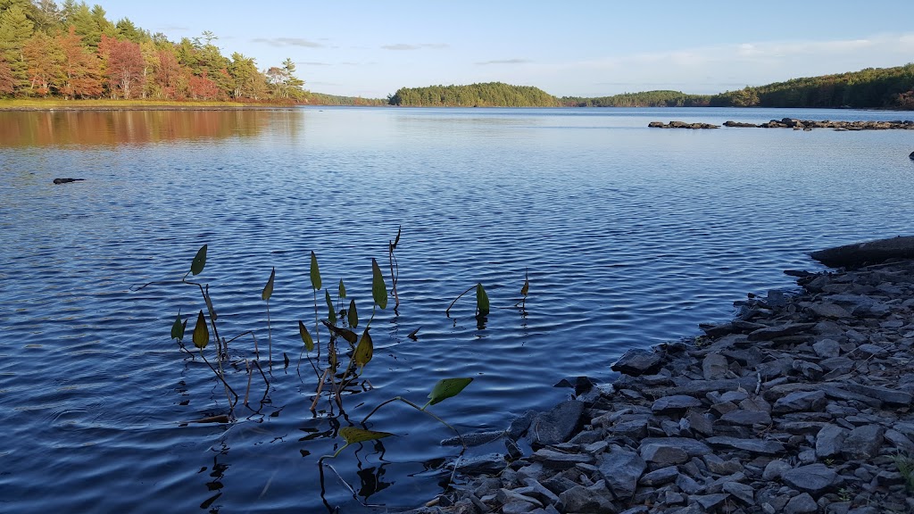 Guesthouse Skylarke | 118 Red Hill Road, New Elm, NS B0R 1E0, Canada | Phone: 0176 24271305