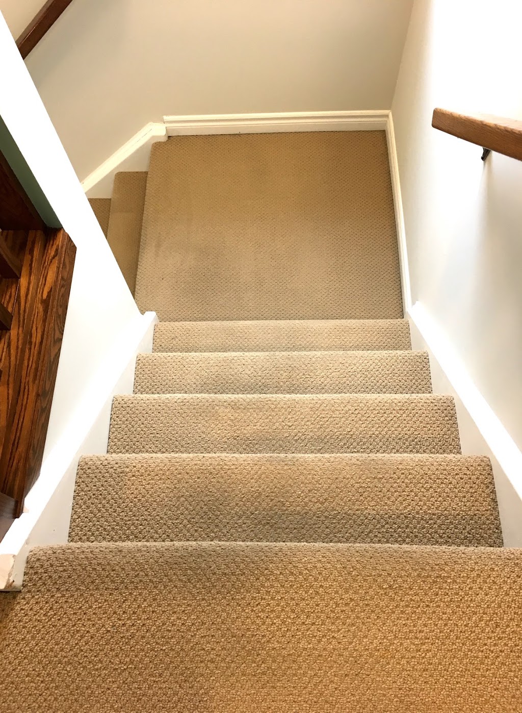 Simply Clean Carpet Cleaning | 18 Knox Ct, Kitchener, ON N2P 2V6, Canada | Phone: (519) 897-6366