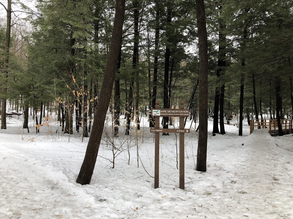 Refuge doiseaux de Mont-Saint-Hilaire | Gault Nature Reserve, 422 Chemin des Moulins, Mont-Saint-Hilaire, QC J3G 4S6, Canada | Phone: (450) 467-4010