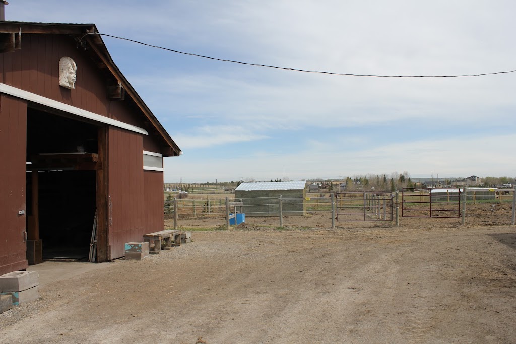 Park Stables | 33041 Springbank Rd, Calgary, AB T3Z 3H1, Canada | Phone: (587) 888-6203