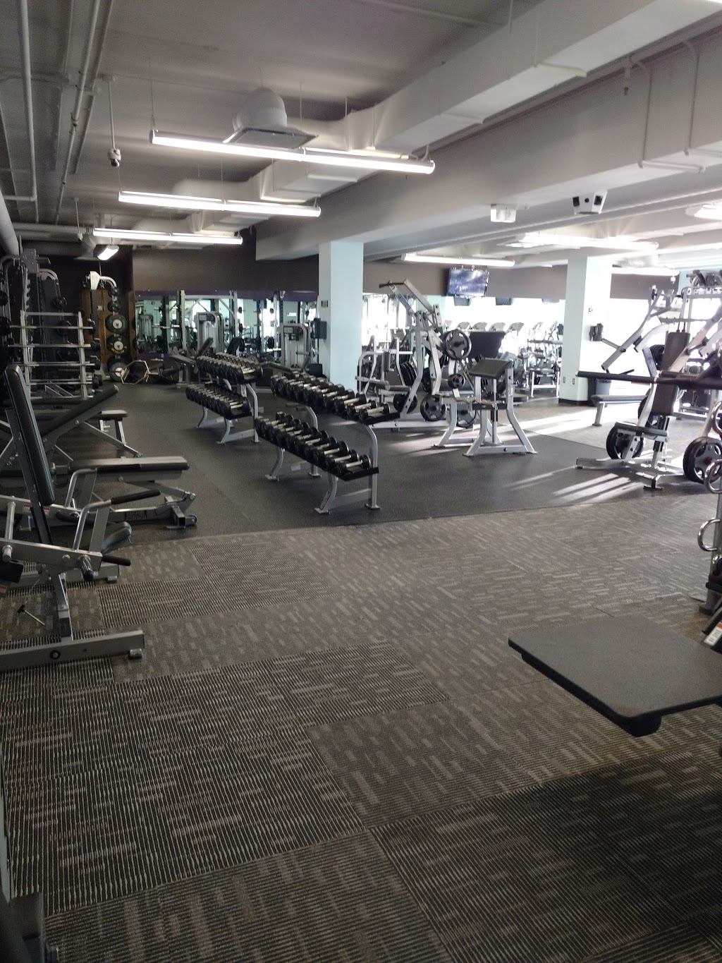 Anytime Fitness | 701 Centennial Blvd N, Warman, SK S0K 4S0, Canada | Phone: (306) 242-4945