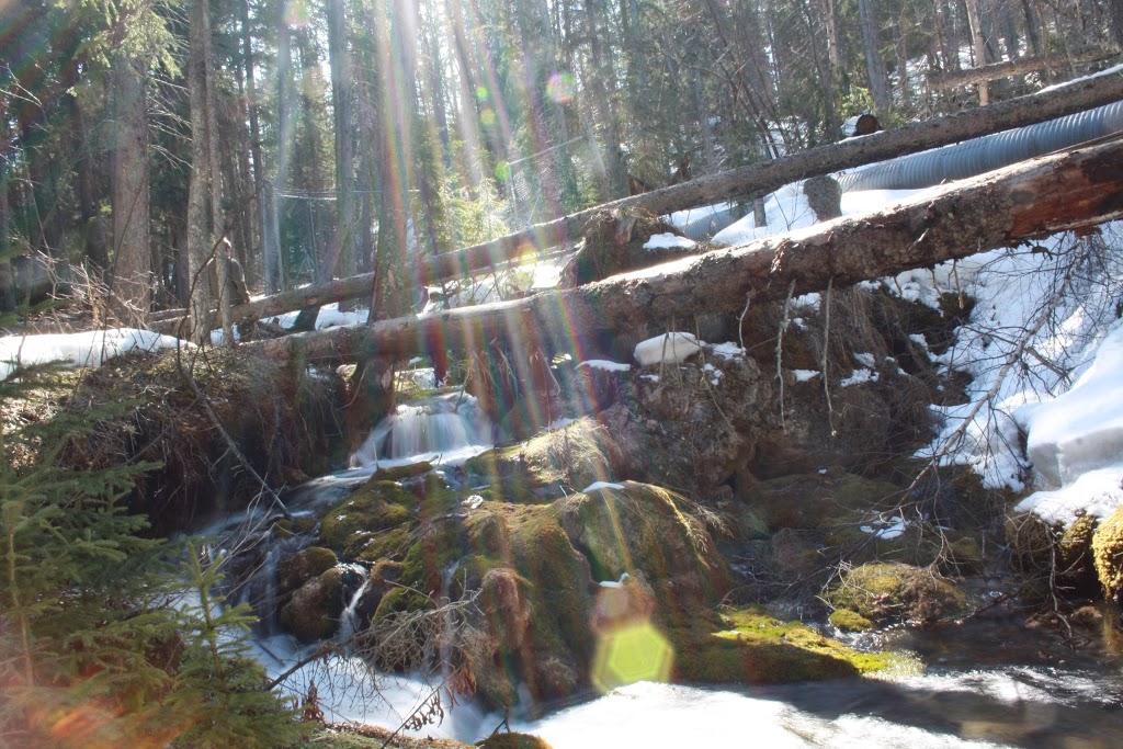 Raven Brood Trout Station | Caroline, AB T0M 0M0, Canada | Phone: (403) 722-2180